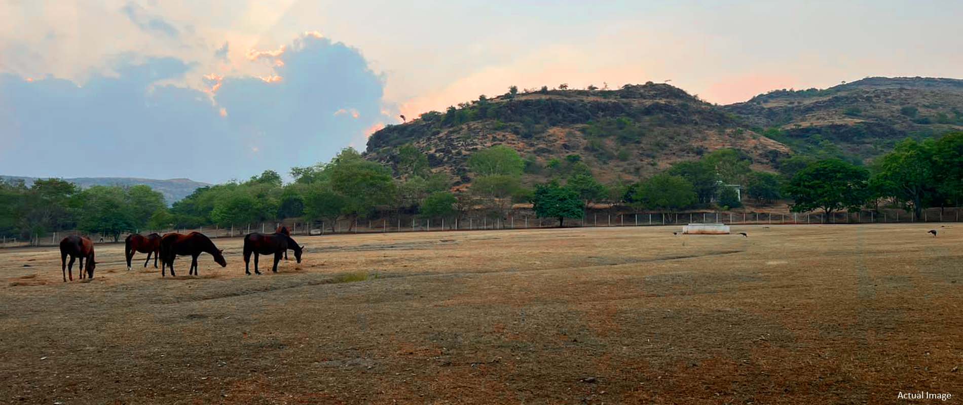 shapoorji pallonji plots in Jadhavwadi